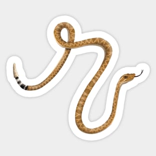 R - Rattlesnake Sticker